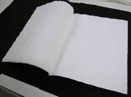 Лабораторная фильтровальная бумага марка Ф "Зольная" 520х600 мм 10 кг, 400 листов