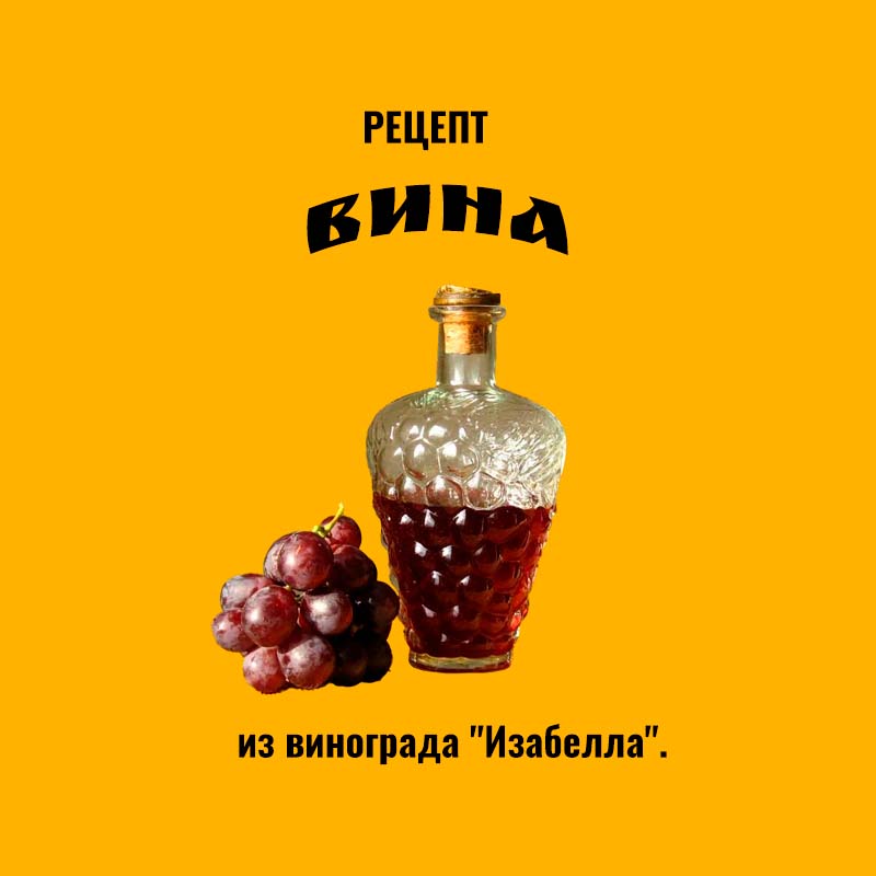 Вино Изабелла - 83 наименования вино в каталоге WineStreet